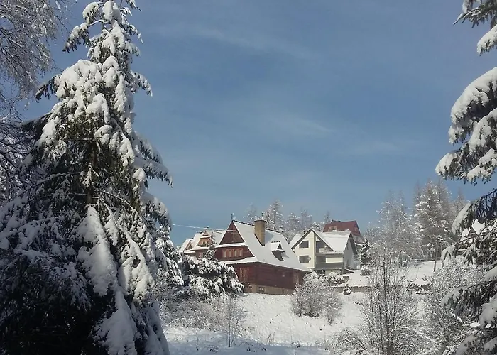 Limba 3* Kościelisko