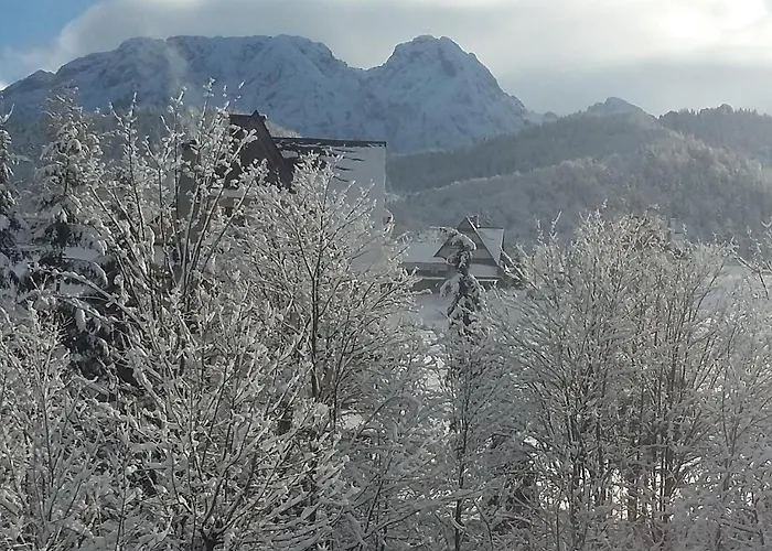 Limba 3* Kościelisko